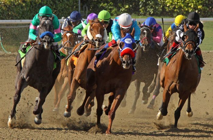 horse_racing_shutterstock_72909853-1