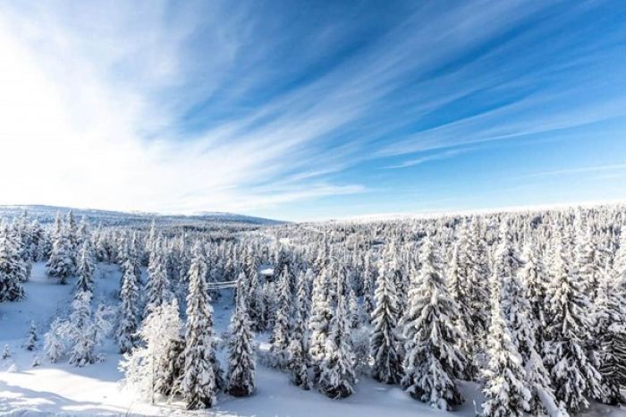 Salen_Picture1_9877i-1