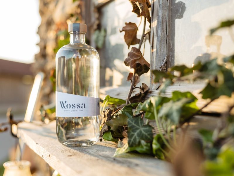 20210526-Wossa-004-Rene-Knabl