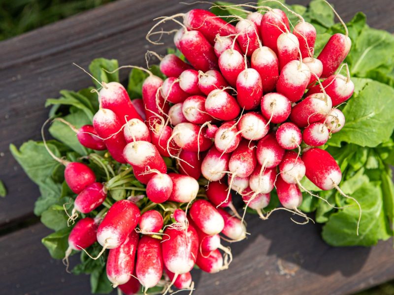 shutterstock_2143025969