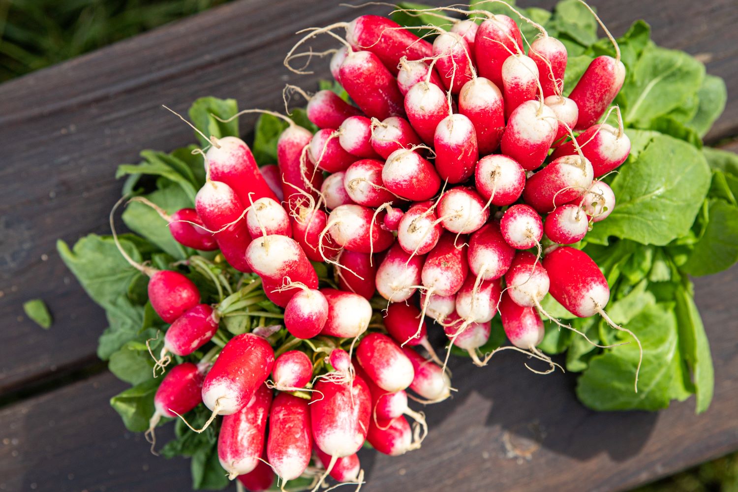 shutterstock_2143025969