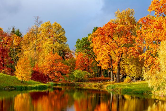 beauty_photos_shutterstock_1803100918