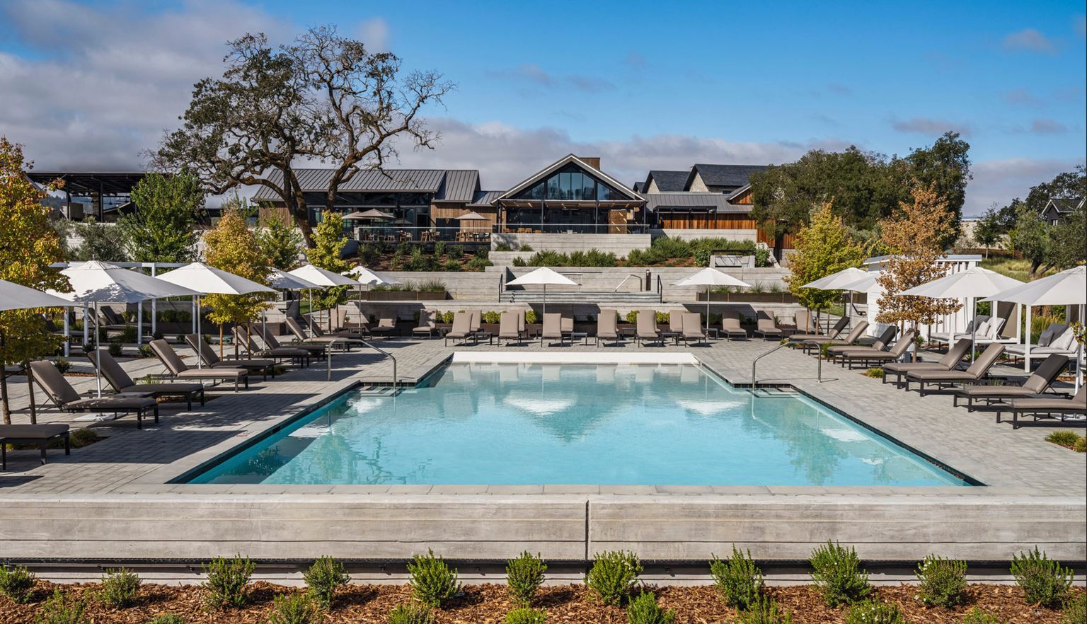 napa_FS_878887_u7