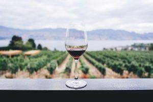 17124977505588