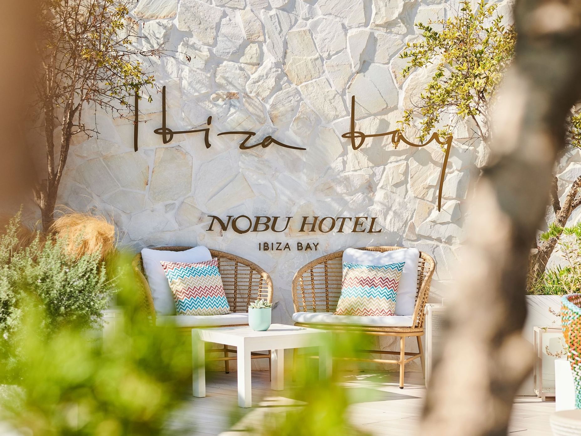 nobuibizabay-julio-2217942-a1-high_standard322