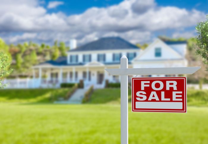 home_shutterstock_2261671633-1