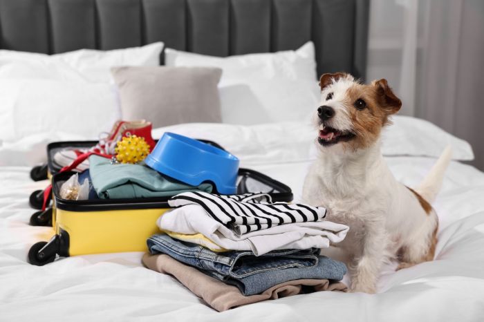 petfriendly_shutterstock_2432021765-1