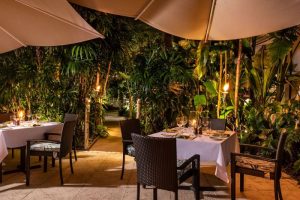 17409460311600Meri-5