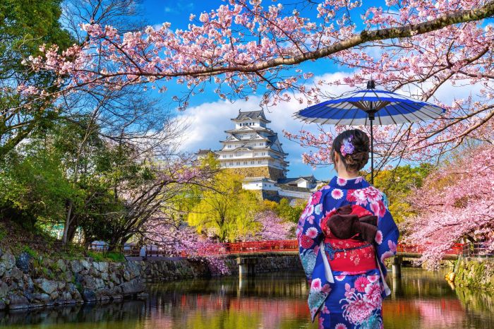 japan_shutterstock_1607405104-1