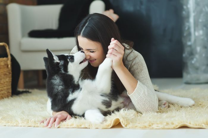 pets_shutterstock_524212318-1