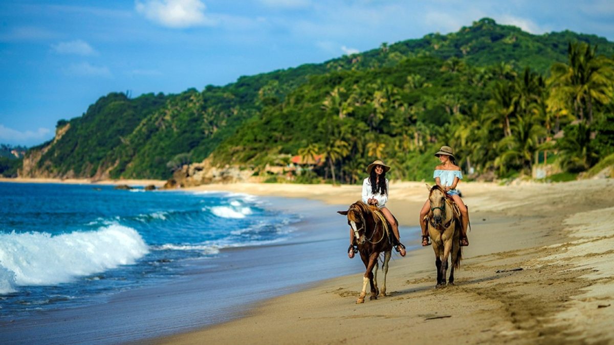 Beach_horses_2025-04-05112002