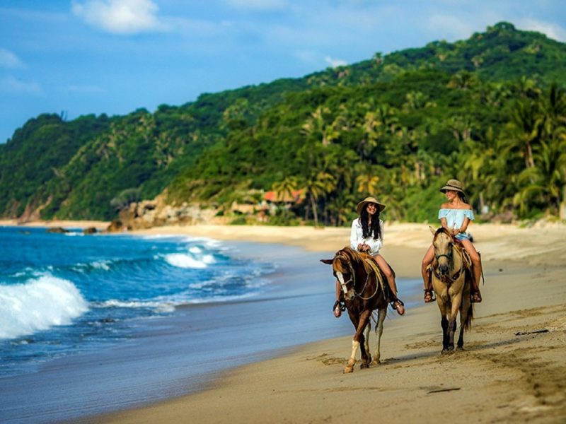 Beach_horses_2025-04-05112002