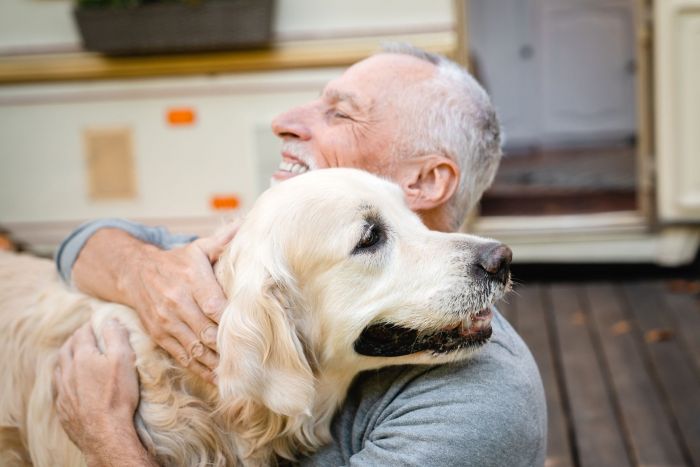 shutterstock_2414045895-2