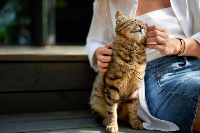 shutterstock_2467570849-1