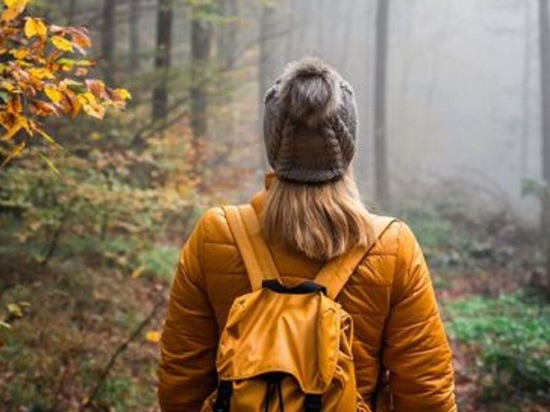 Rediscovering New England Part 2: The Berkshires Beyond the Postcard