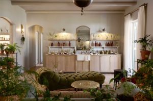 From Tech-Driven Health to Herbal Healing: What’s New in Wellness This Season