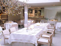 42519