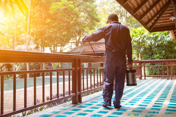 Termite Proofing Your Home: A Practical Guide