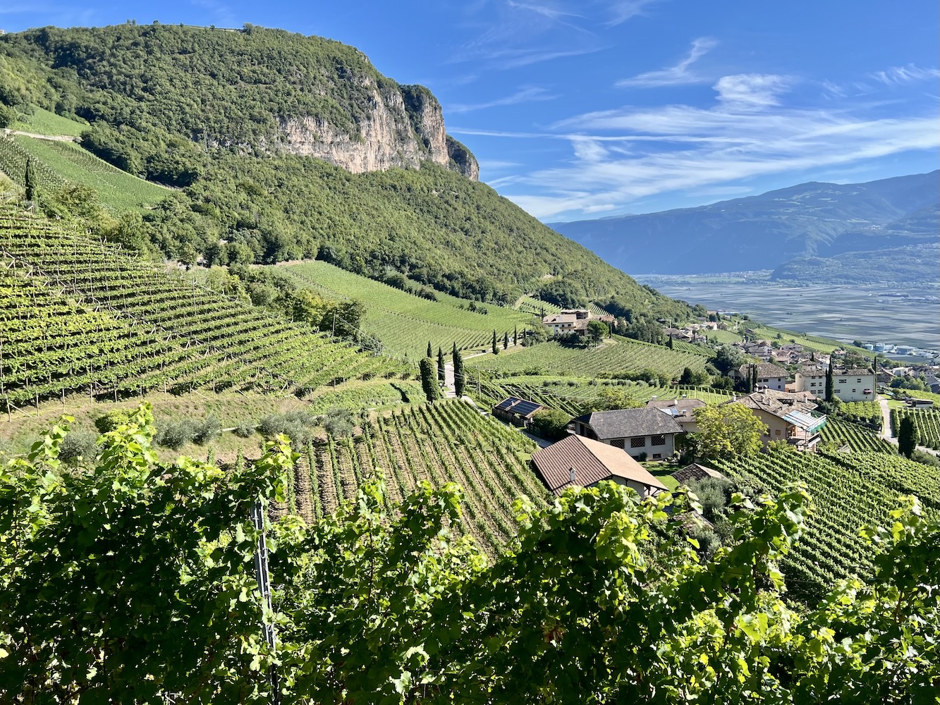 10 Reasons to Visit Italy’s Alto Adige Wine Region