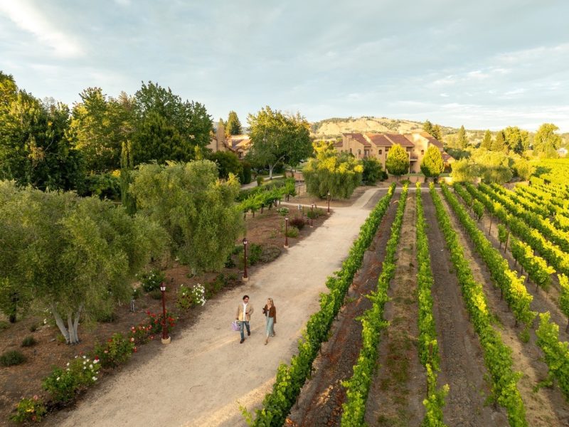 Vinarosa Resort & Spa: Sonoma’s Harvest Season Sanctuary
