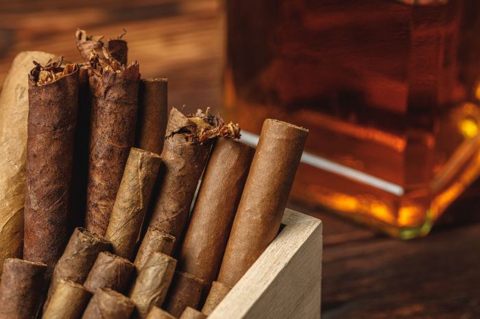 Best Cigars for the Summer: Light Draws and Bold Moments Under the Sun