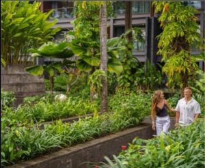 Hotel Indigo Bali Seminyak Beach Joins Forces with Indosole for a Sustainable Step Forward
