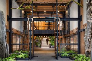 Populus Hotels: Where City, Nature, & Sustainability Meet