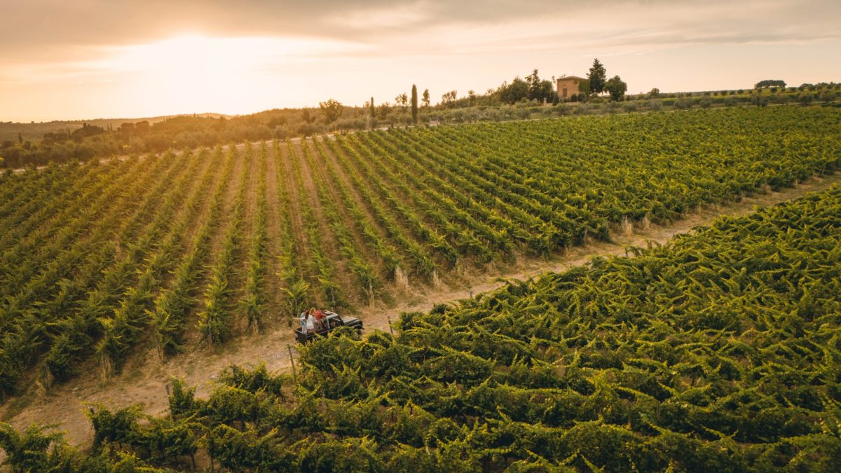Vallepicciola: Where Vineyards Meet the Tuscan Sky