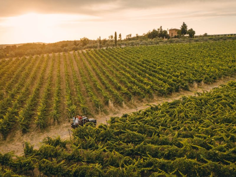Vallepicciola: Where Vineyards Meet the Tuscan Sky