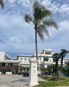 Historical Coastal Getaway At Glorietta Bay Inn, Coronado Island