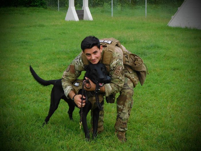 A Bond Forged in Service: Paws of War Reunites Airman with Life Changing Dog