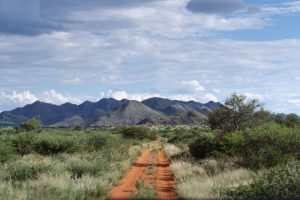 How Tswalu is Rewriting Conservation Economics Through Their Carbon Credit Project