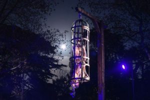 Halloween at Kew 2025: After-Dark Magic Returns to the Royal Botanic Gardens