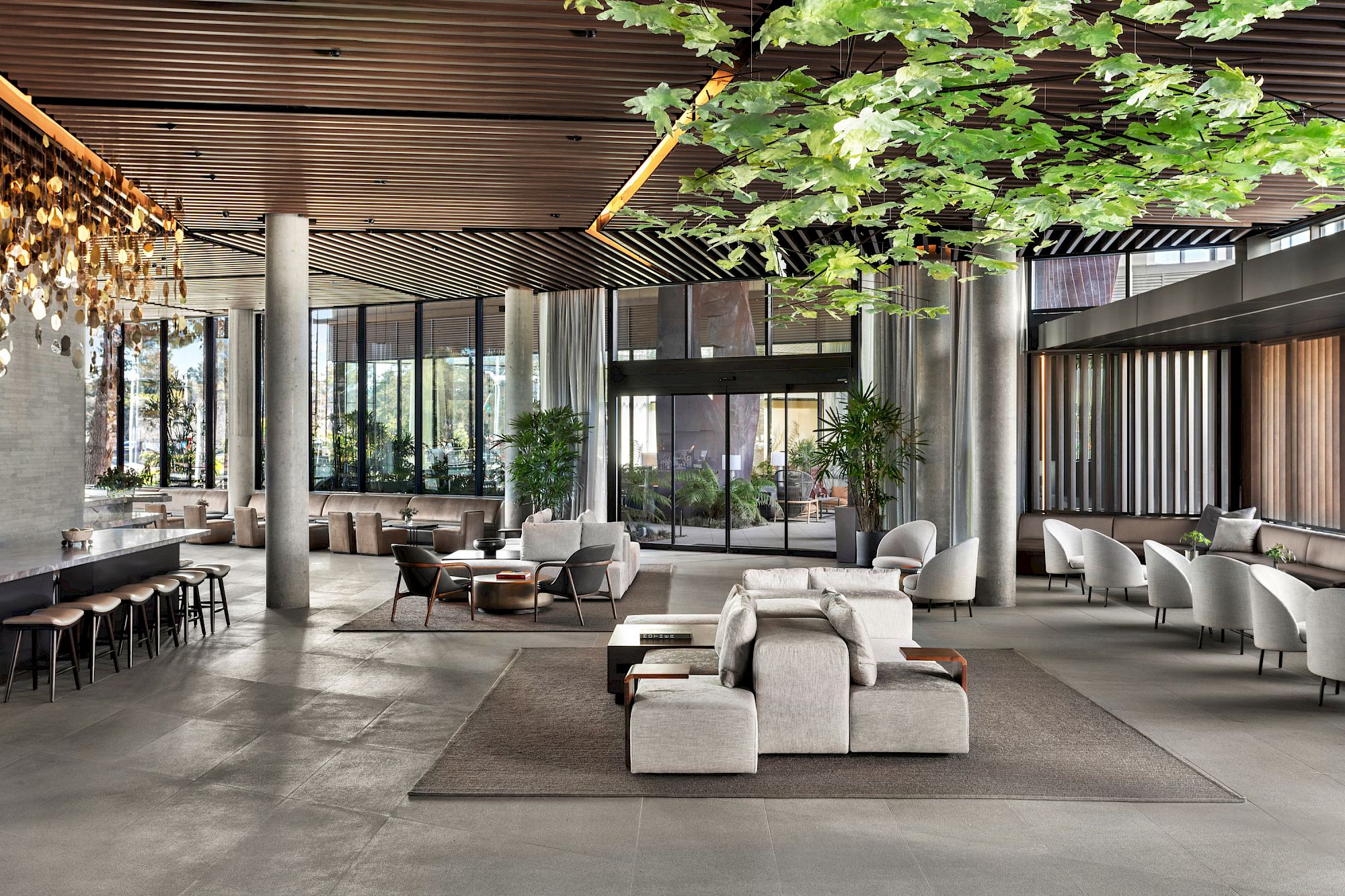 tetra-web2022-38-13434