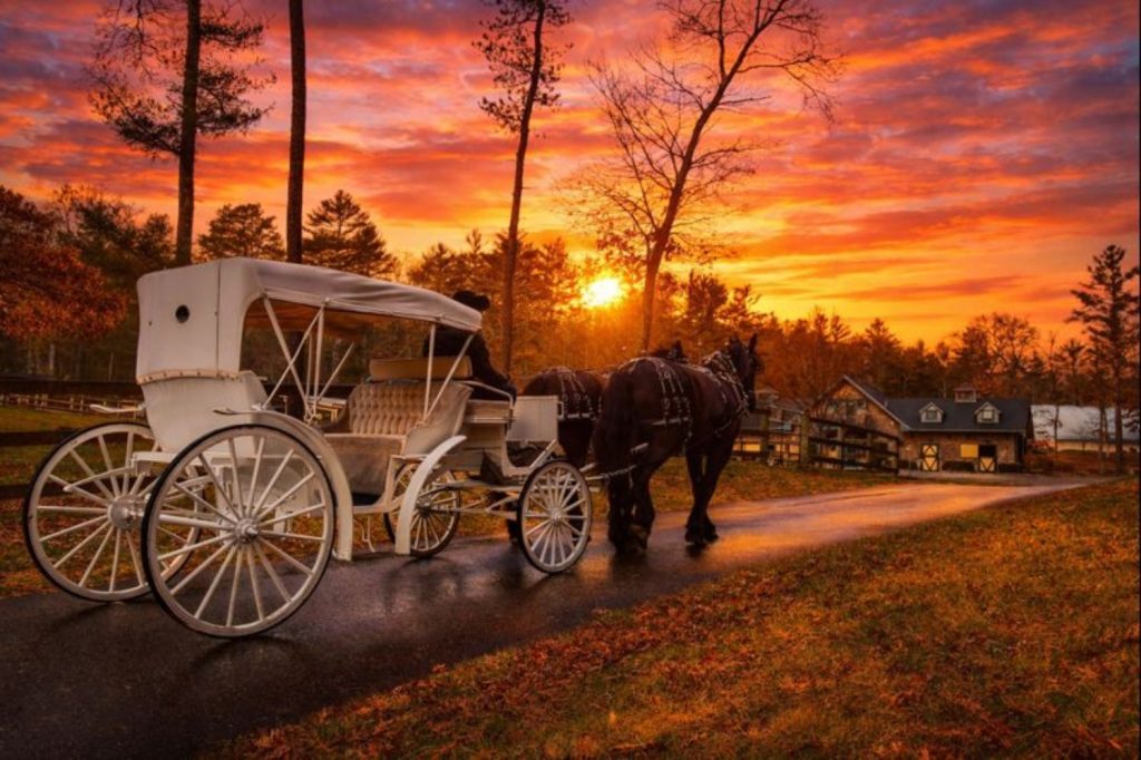 A white horse-drawn carriage on a path with a vibrant sunset and trees in the background at The Preserve Sporting Club.