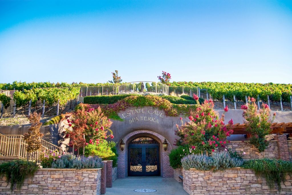 Entrance to the Estate Cave Spa Terra, surrounded by vibrant flowers and vineyards under a clear blue sky.