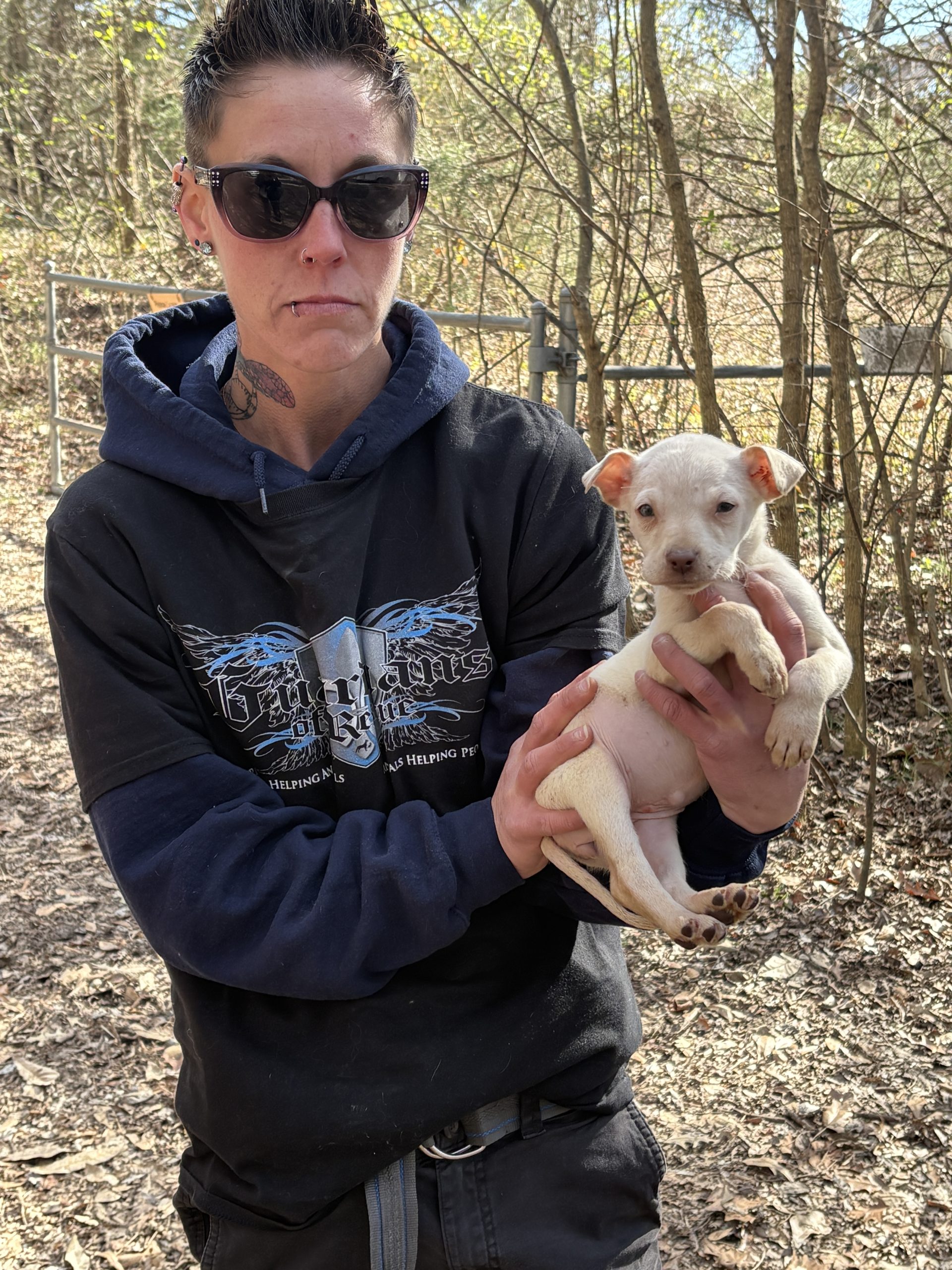 A serious-looking person holding a white puppy in a wooded area, highlighting the ongoing rescue of dogs from a hoarding situation.