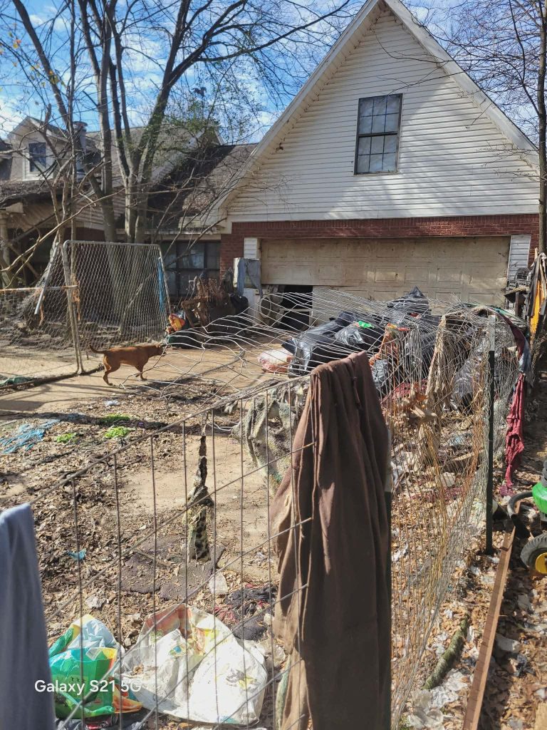 Hoarded environment outside a house, showing debris and a dog walking through the cluttered yard.