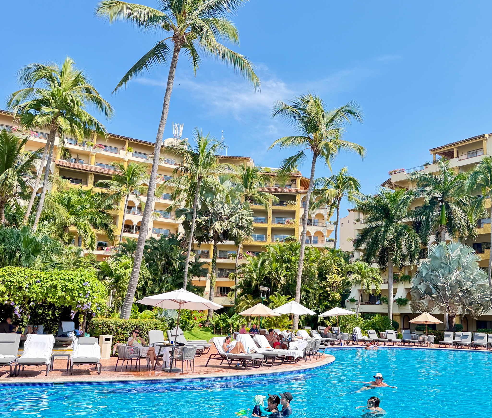 Resort pool surrounded by palm trees, lounge chairs, and vibrant greenery at the Velas Resorts in Mexico.