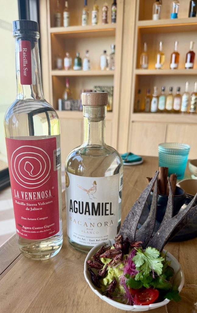 Bottles of La Venenosa and Aguamiel bacanora alongside a bowl of guacamole topped with herbs and edible insects.