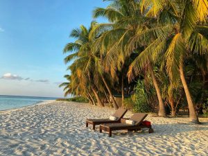 Lounge chairs under palm trees on a sandy beach with calm ocean waters and a clear blue sky.