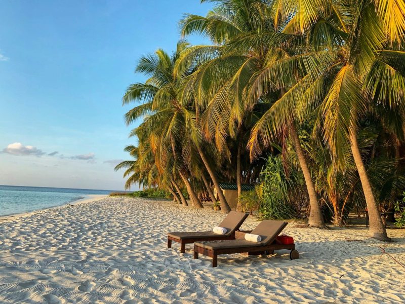 Lounge chairs under palm trees on a sandy beach with calm ocean waters and a clear blue sky.