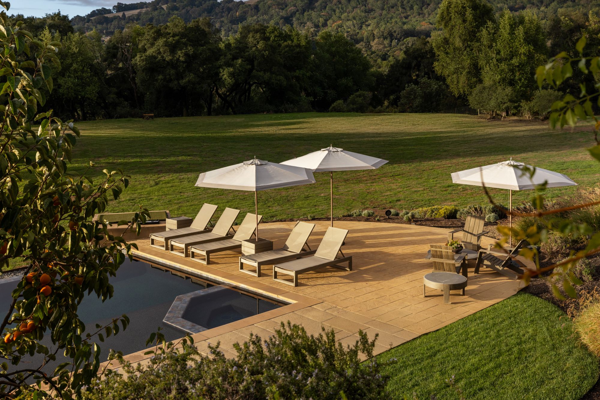 Sun loungers and umbrellas surround a swimming pool on a spacious lawn with trees in the background, showcasing luxury outdoor living.
