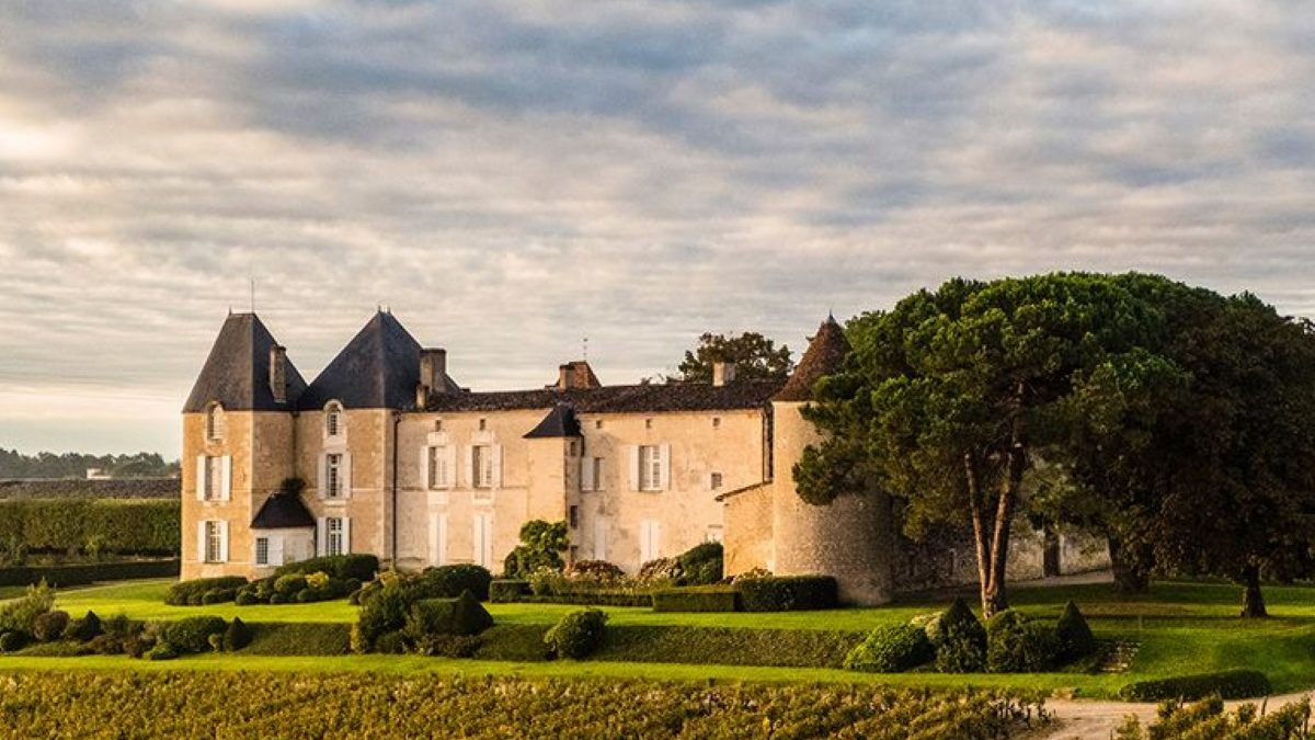 Historic château surrounded by lush vineyards under a cloudy sky.