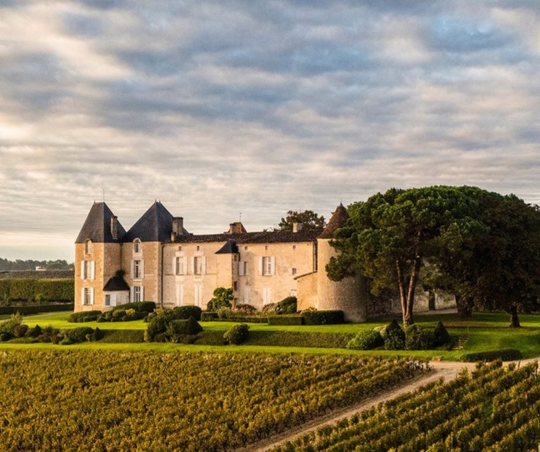 Historic château surrounded by lush vineyards under a cloudy sky.