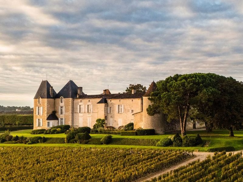Historic château surrounded by lush vineyards under a cloudy sky.