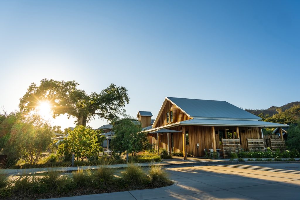 The Elusa Winery building surrounded by lush greenery under a clear blue sky, with the sun setting in the background.