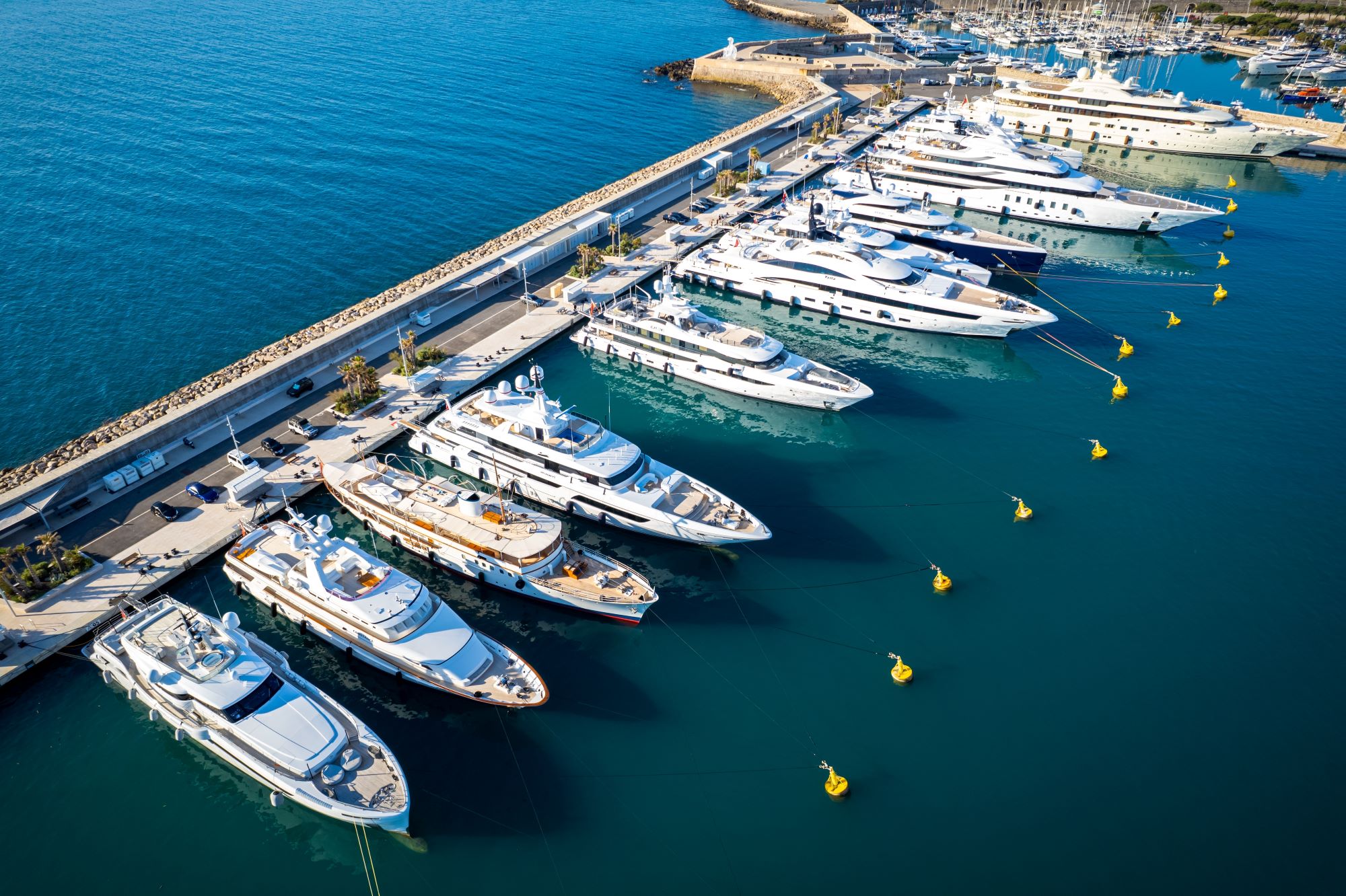 Luxury yachts docked at a marina with clear blue waters and a coastal road lined with palm trees.