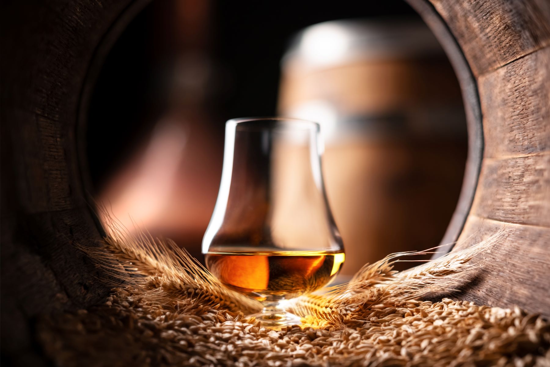 A whiskey glass sits on a bed of grains, highlighting the allure of military whiskey for collectors and enthusiasts.