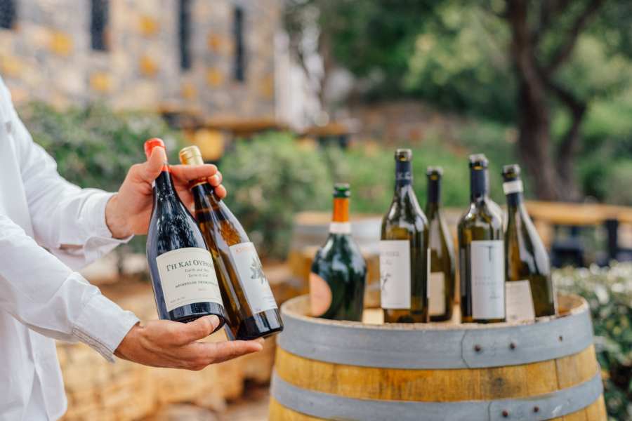 Person holding two wine bottles in front of a barrel, with more bottles displayed in the background, surrounded by greenery.